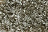 Transparent Columnar Calcite Crystal Cluster on Quartz - China #164009-2